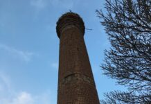 Anadolu Sütunlu Lahiti ve İçerisindeki Eserler